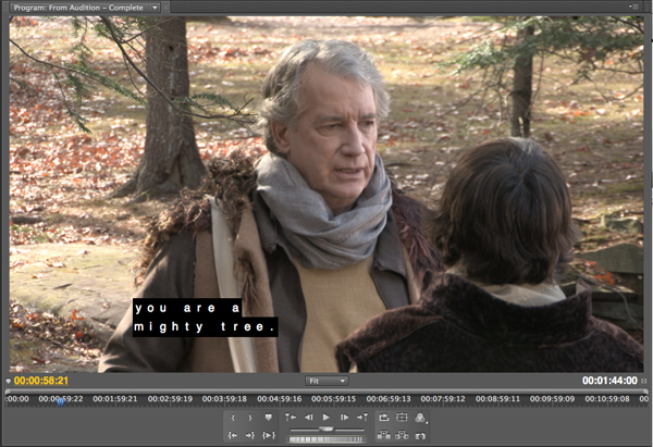 Adobe Premiere Pro Caption Display