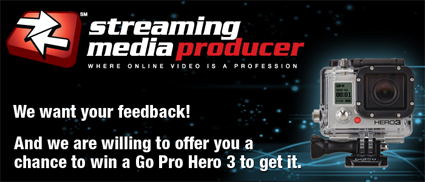 Streaming Media Producer Survey
