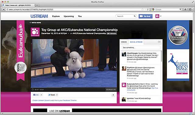 AKC/Eukanuba National Championship