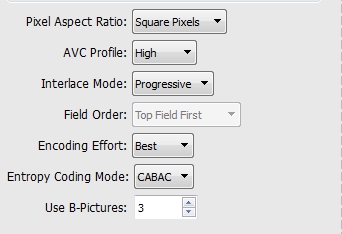 Ozer WebM Figure 2